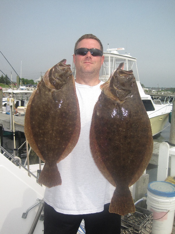 Two "cow" fluke.