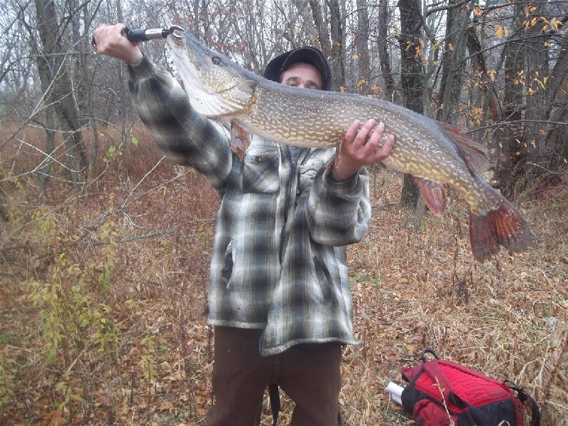 Monster Pike