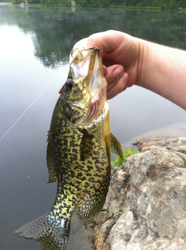 First Crappie